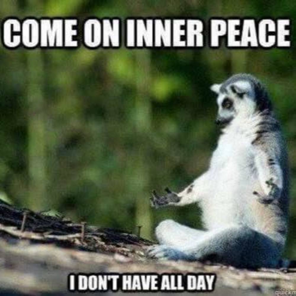 Meet your Posher, Jesse